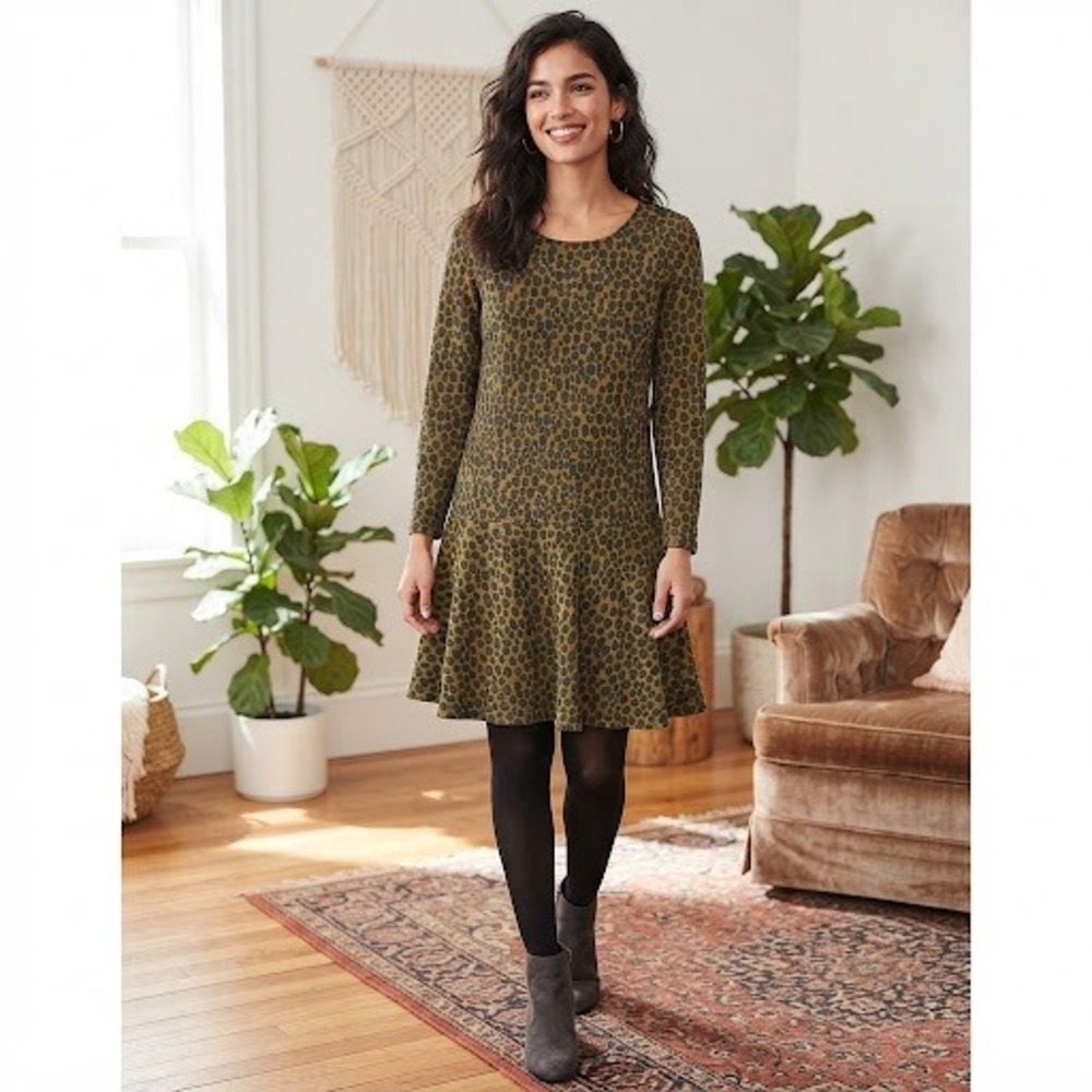 Ann Taylor Loft Womens Cheetah Print Drop Waist Fit & Flare Mini Dress Brown M